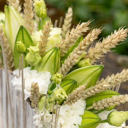 web_260331_Oasis_Floral_Foam-0023